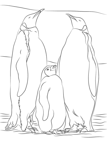 Two Adult Emperor Penguins With A Juvenile Coloring Page